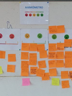 AnimometroPuertoMontt