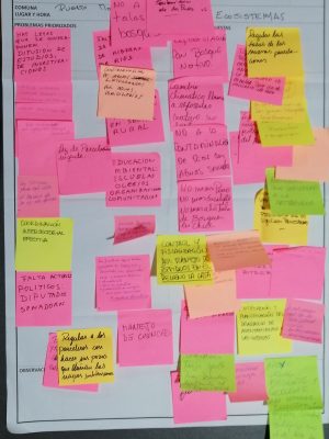 EcosistemasPuertoMontt